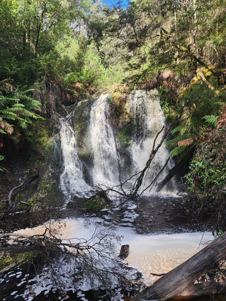Tackling Tasmania Strahan Hogarth Falls